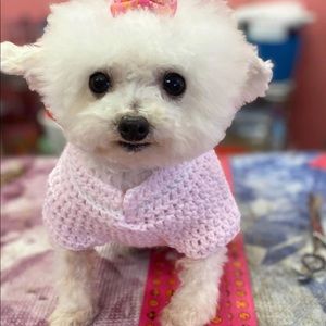 Meet your Posher, Jackleen